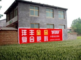 永福如何让墙体广告展现最大化效果