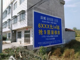 永福墙体广告质量分析