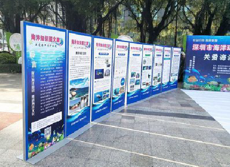 永福KT板的种类和知识。